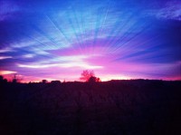 /album/colourpsy/img-1485-jpg/