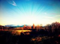 /album/colourpsy/img-1491-jpg/