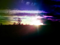 /album/colourpsy/img-1492-jpg/