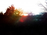 /album/colourpsy/img-1493-jpg/